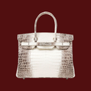 Hermés Birkin 30 Himalaya Krokodil